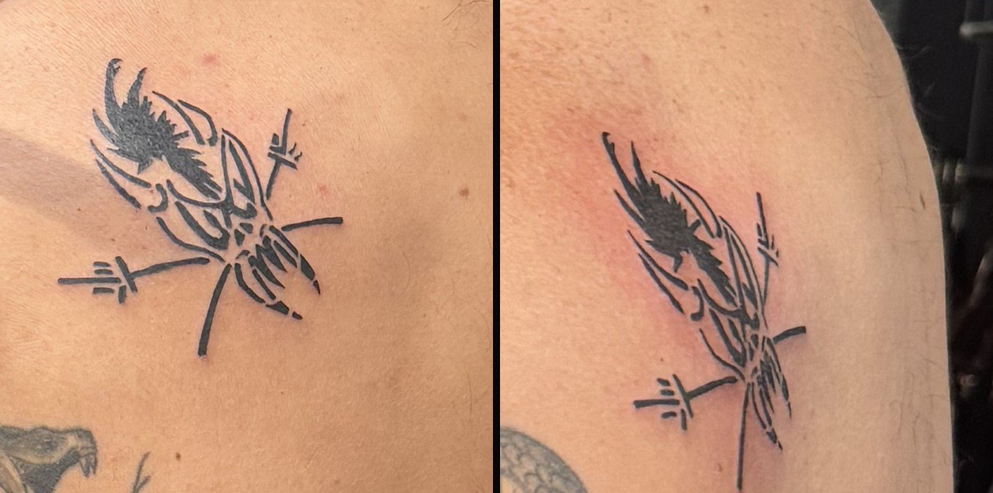 Close-up of two matching fresh Metallica tattoos in black ink on shoulder blades, a winged insect with barbed wire lines