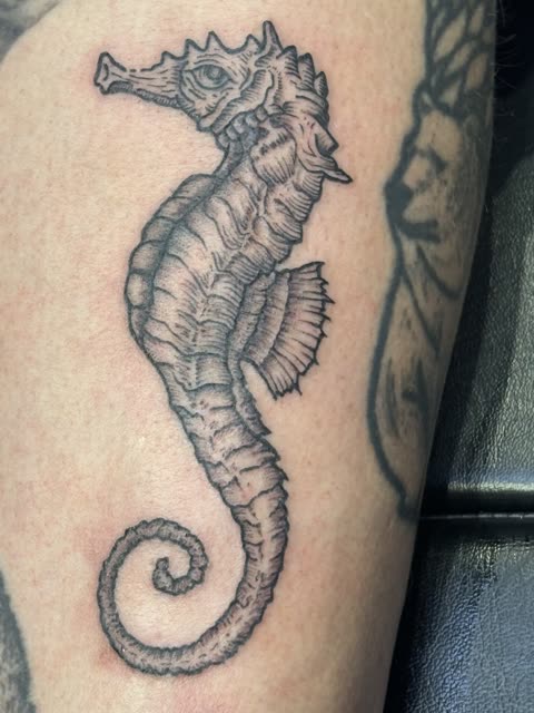 Seahorse tattoo in black stipple shading on a lower leg