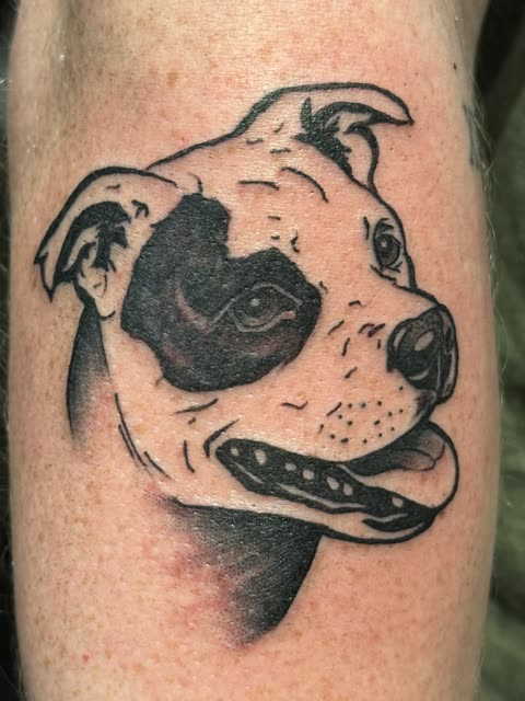 Smiling pit bull tattoo in bold black ink