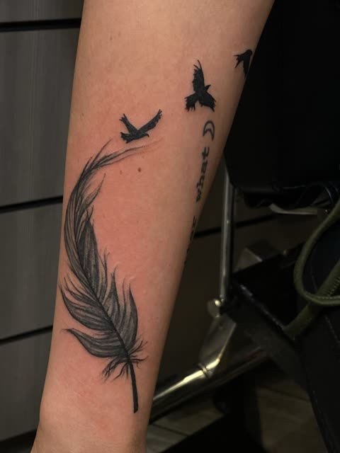 Feather tattoo breaking into birds in flight, black shading, on a forearm