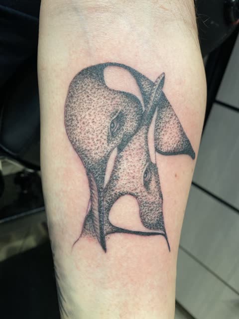 Surreal double face tattoo in heavy stipple shading on a forearm