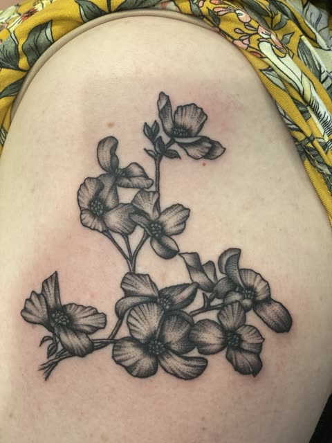 Dogwood blossom tattoo in black stipple shading on a hip