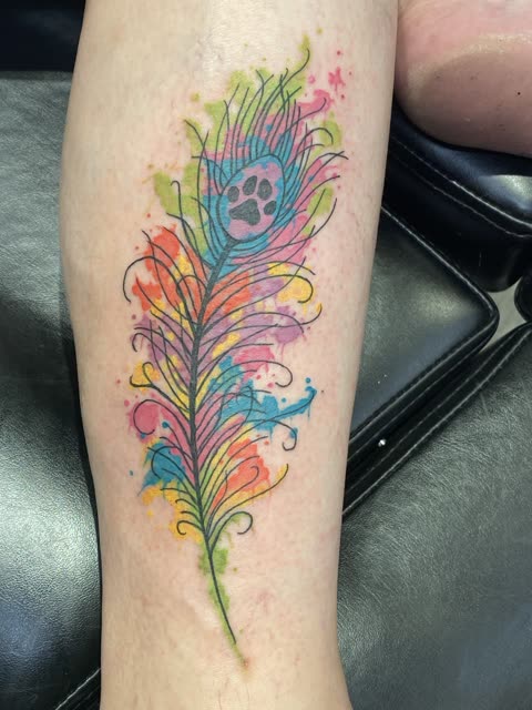 Rainbow peacock feather tattoo with a paw print at its center, watercolor, on a lower leg