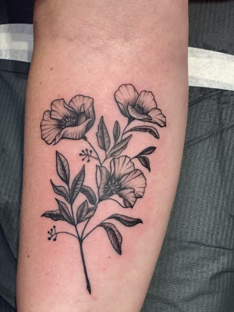 Poppy tattoo with leafy stems, black shading, on a forearm