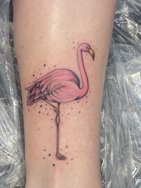Flamingo tattoo standing on one leg, soft color with dotted accents, on a lower leg