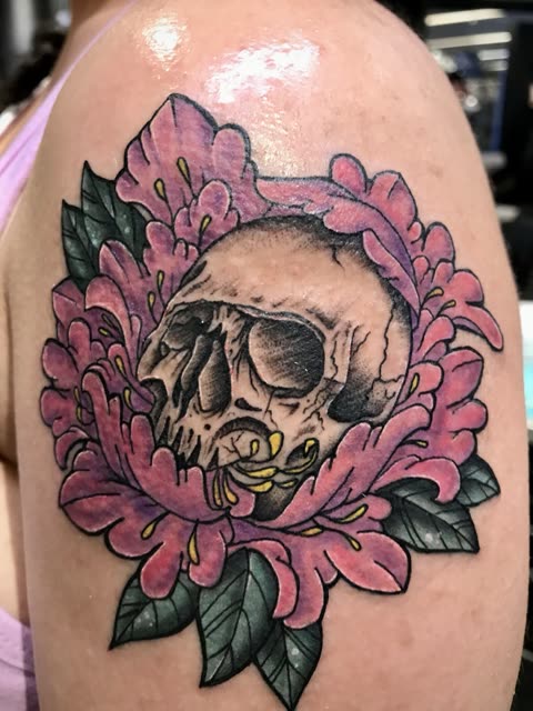 Skull tattoo nested in a pink chrysanthemum with a gold tooth, full color, on a shoulder
