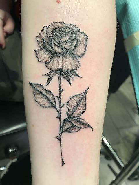 Long stem rose tattoo with thorns, black stipple shading, on a forearm