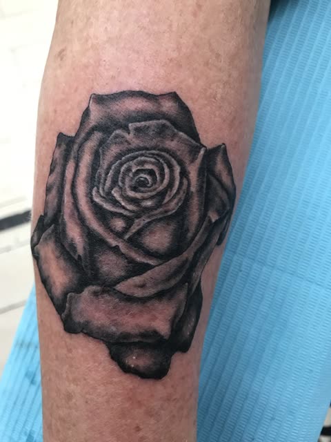 Open rose tattoo in smooth black shading