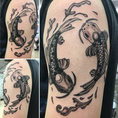 Two koi tattoo circling each other, black shading, on an upper arm, shown from three angles