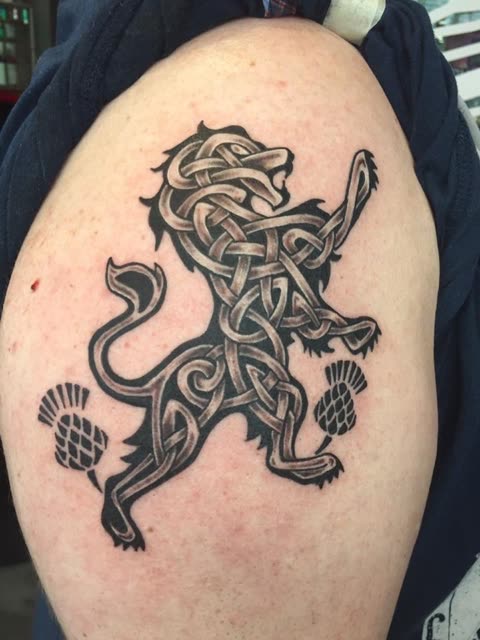 Celtic knotwork lion tattoo with thistles, black ink, on a shoulder